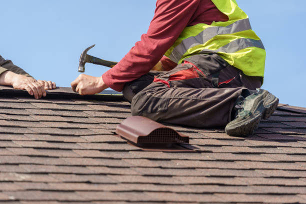 Best Roof Gutter Cleaning  in Mexia, TX